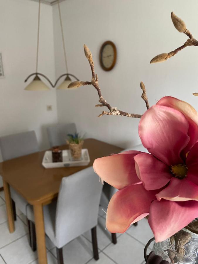 Ferienhaus Am Hammrich 리어 외부 사진
